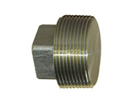 Threaded Fittings Pipe Plug